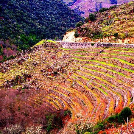 Castelodobispo - Ourense Sobrado del Obispo Eksteriør bilde