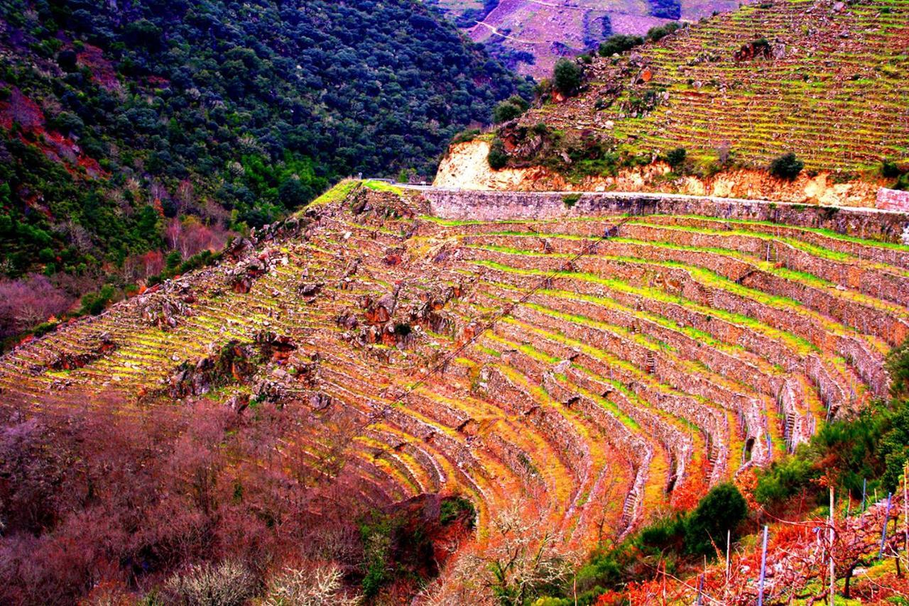 Castelodobispo - Ourense Sobrado del Obispo Eksteriør bilde